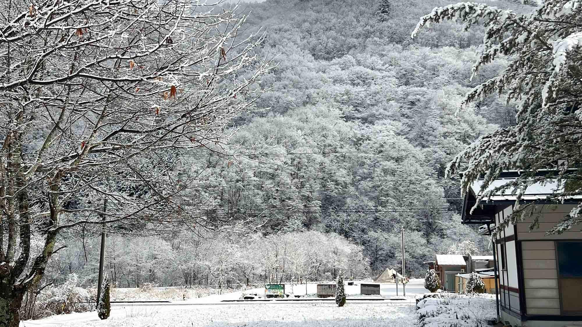 ・【冬】山の木々も冬には雪化粧。都会ではなかなか見られない光景です