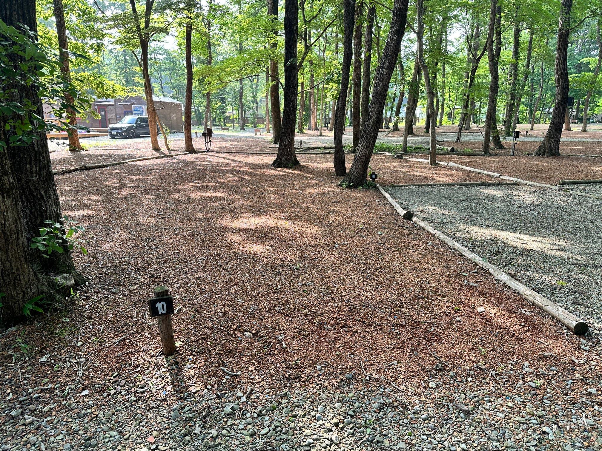 【１０番サイト】オートキャンプサイト（AC電源あり）