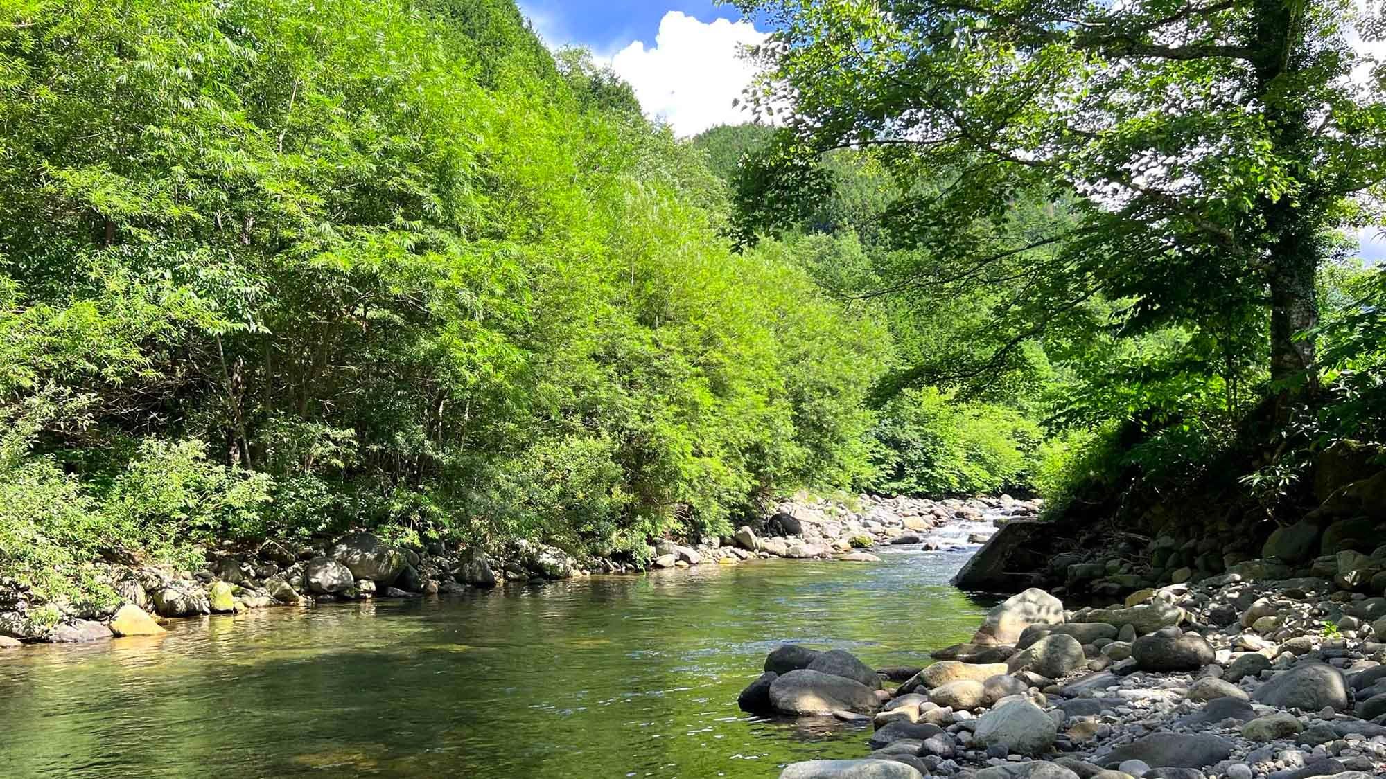 ・【秋神川】川幅も広く、富んだ流れの「秋神川」はフライフィッシング名所と呼ばれています