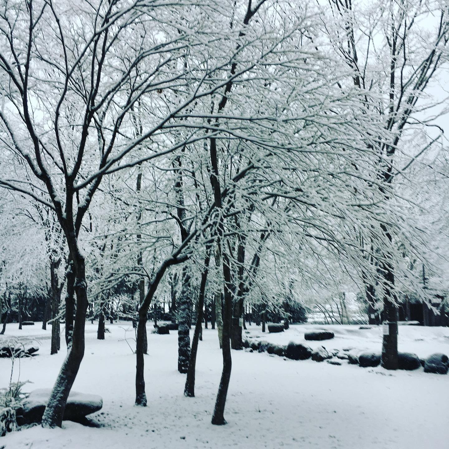 雪景色