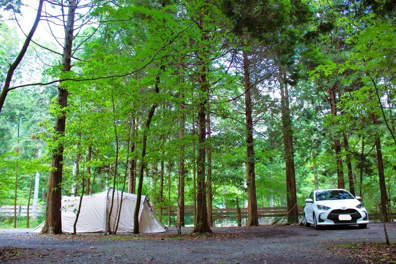 広々オートキャンプサイトの例：66-67サイト