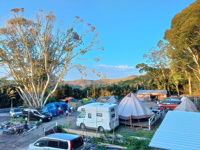 コーラル南房総 オートキャンプ場 宿泊予約 楽天トラベルキャンプ