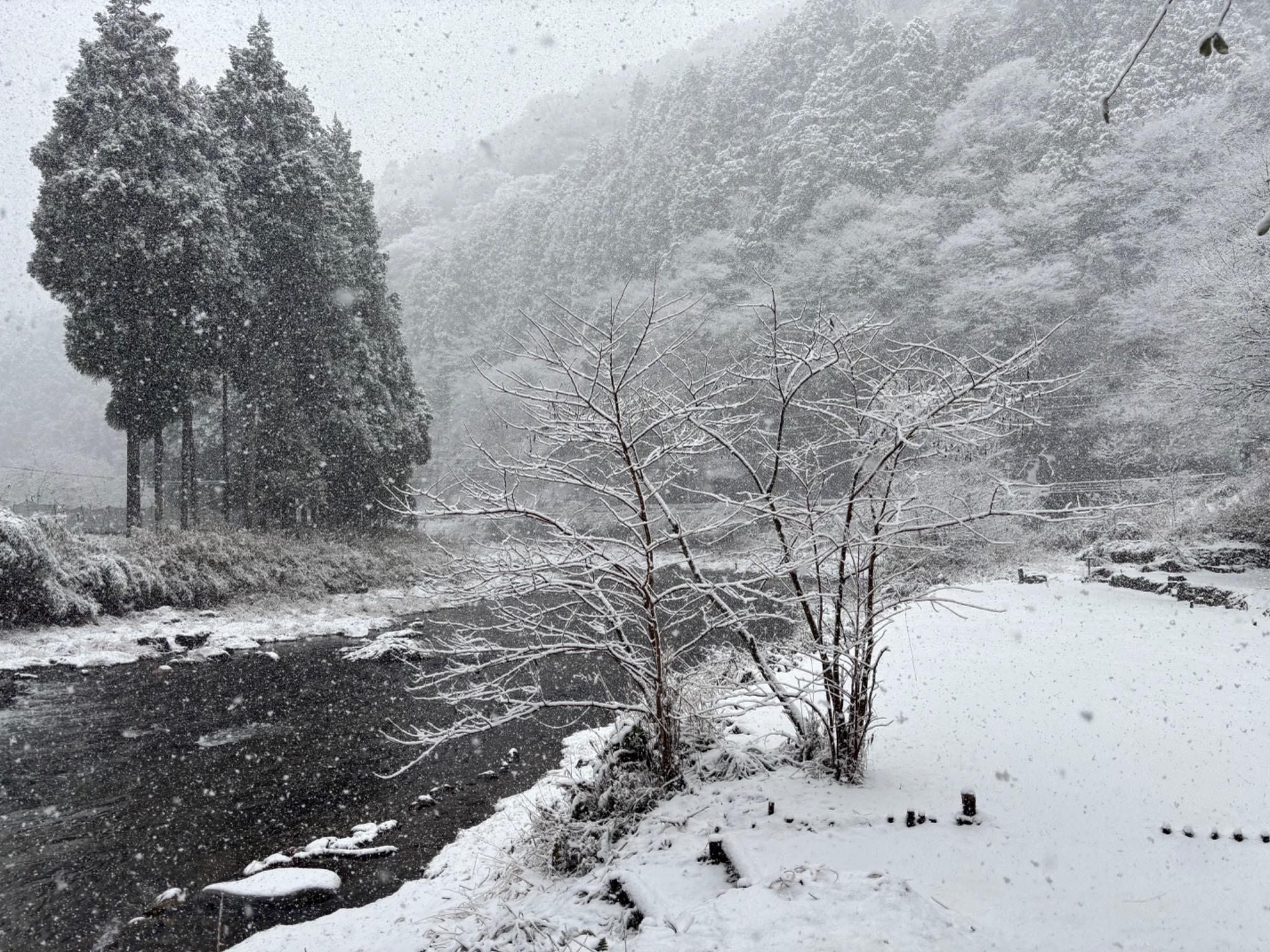 冬季も営業してますので、雪キャンプも出来ます。