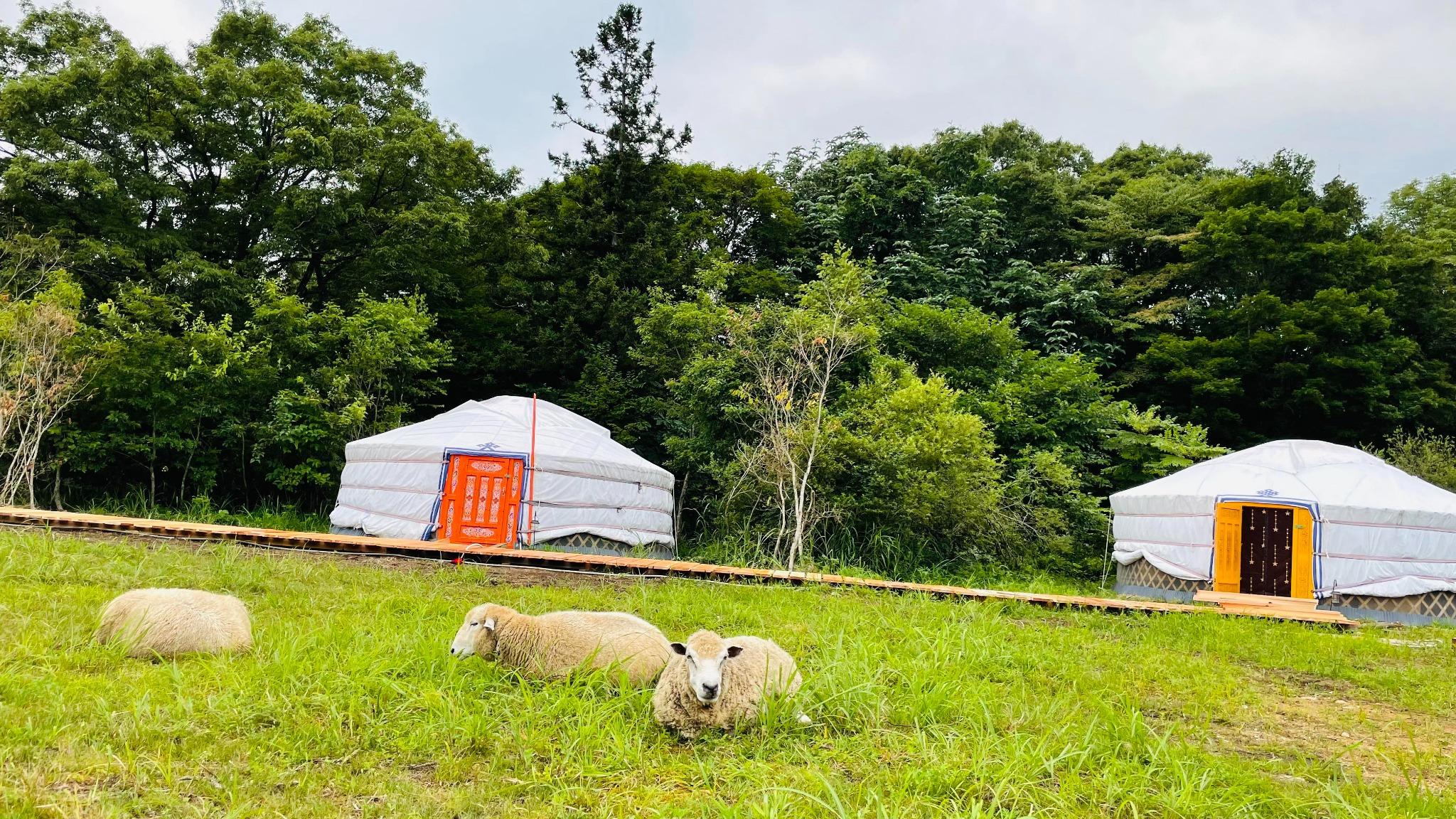 キャンプ場の風景