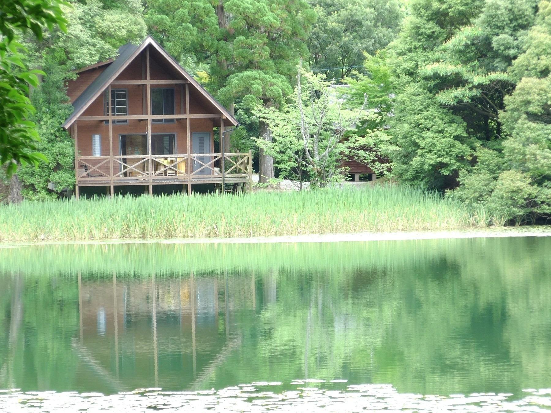 池の山キャンプ場