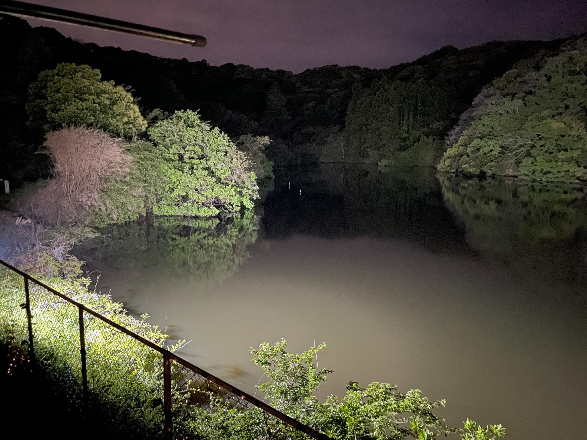 展望デッキからの夜のライトアップ