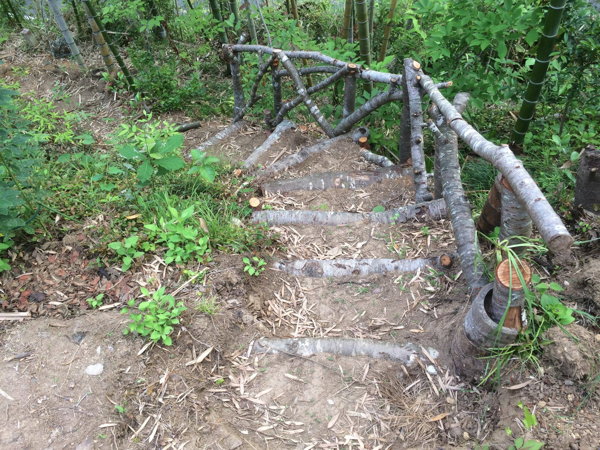 森の小道