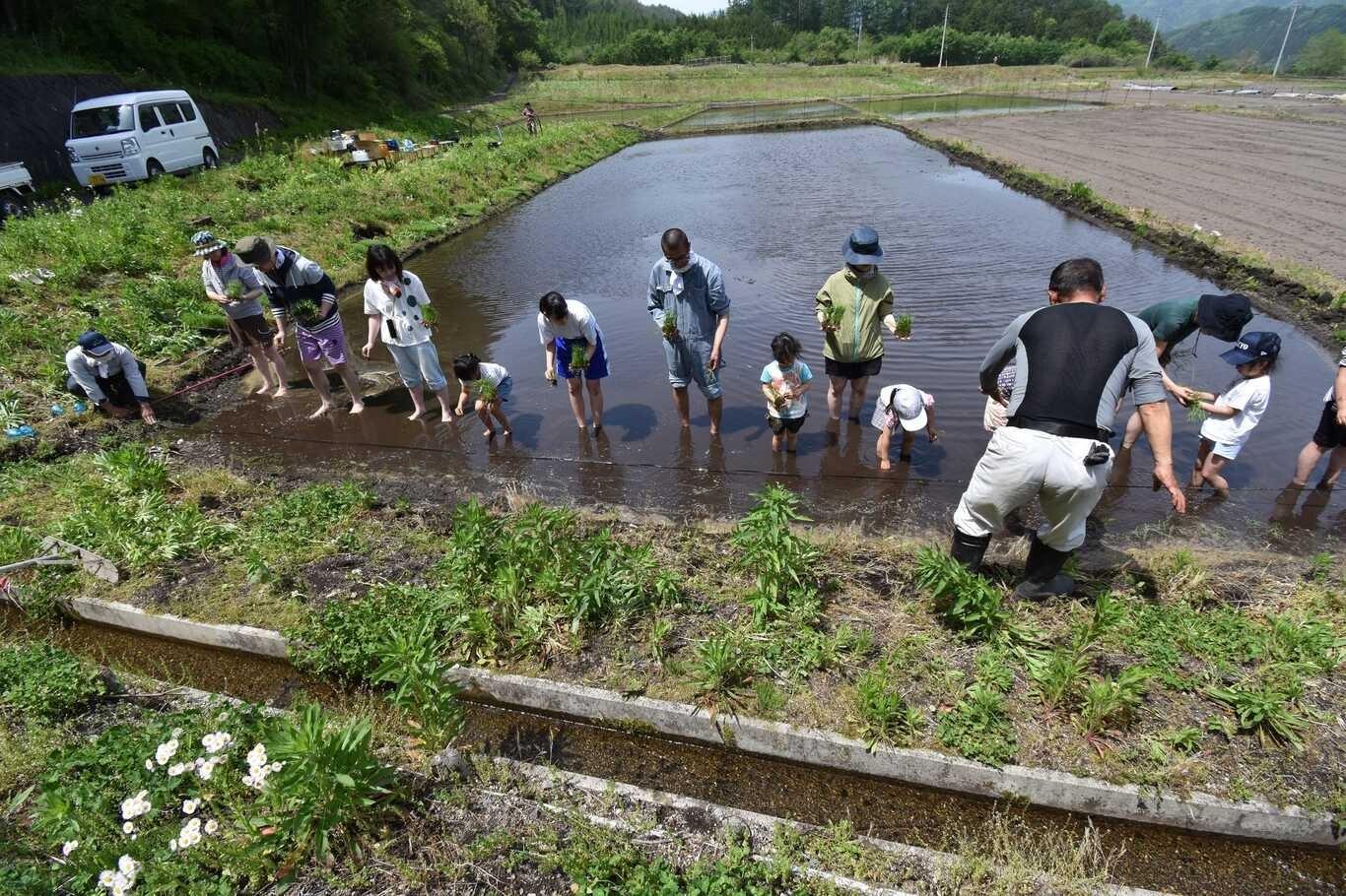 田植えや稲刈りの体験もございます