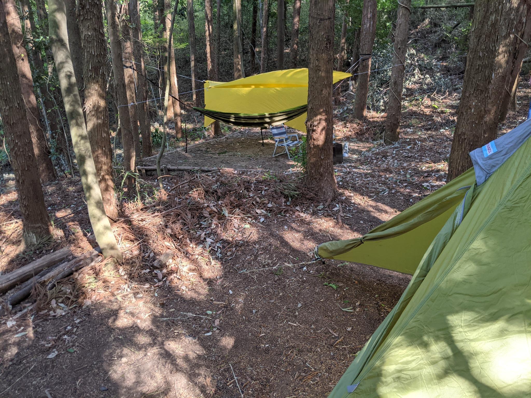 テント区画の位置関係