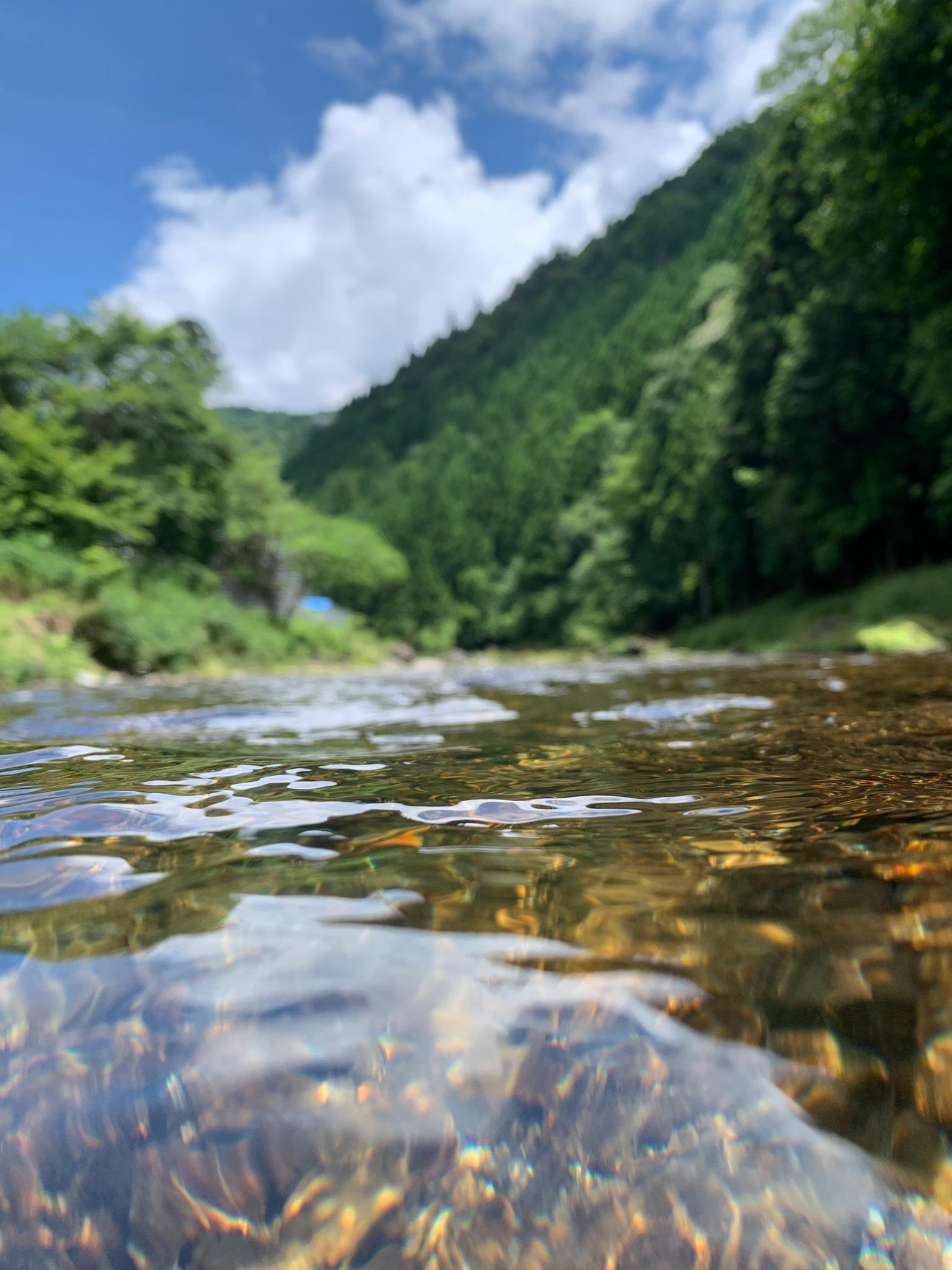 目の前に広がるオオサンショウウオも生息する上桂川の清流。京北最上流の本当に美しい河川です。大体年に２，３回お客様がオオサンショウウオを発見されます笑