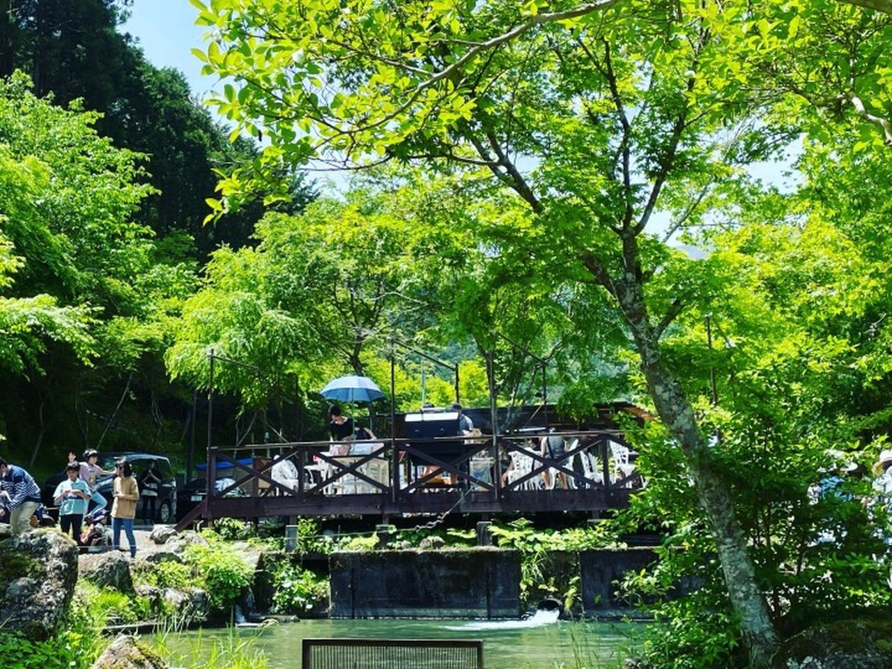 福士川の渓谷の中にある釣り堀