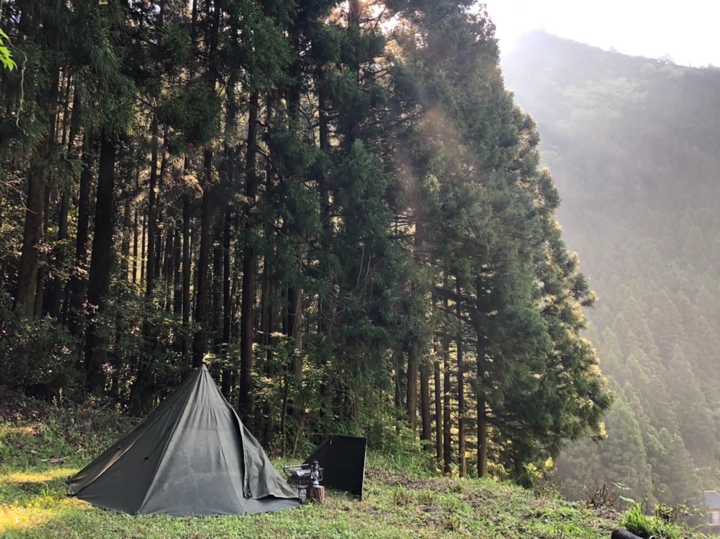 静かな森の中で秘密基地をつくりましょう