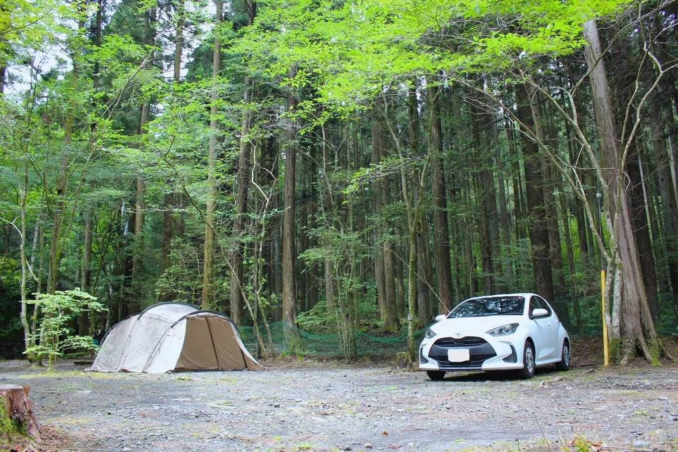 広々オートキャンプサイトの例：10-11サイト