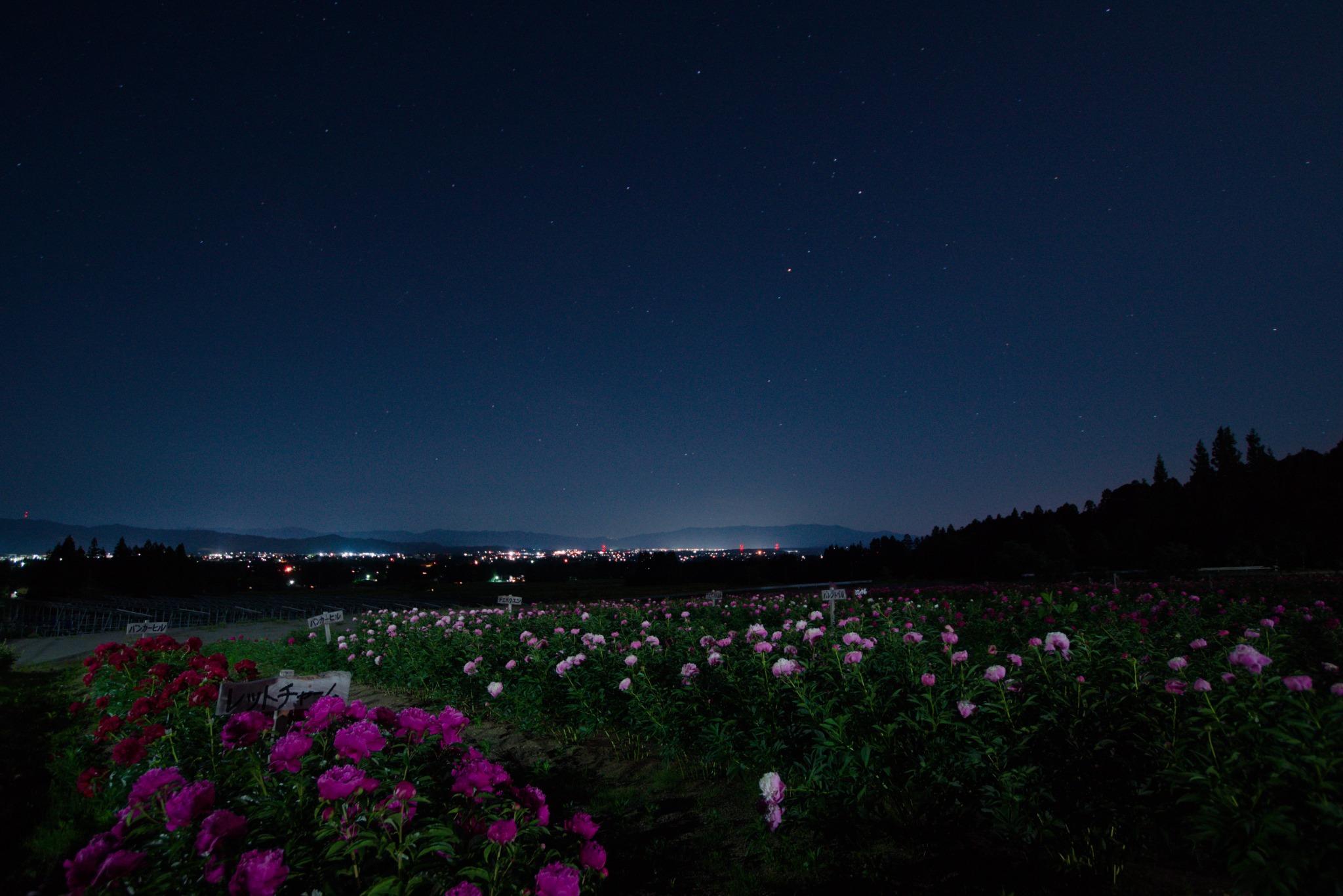 夜景
