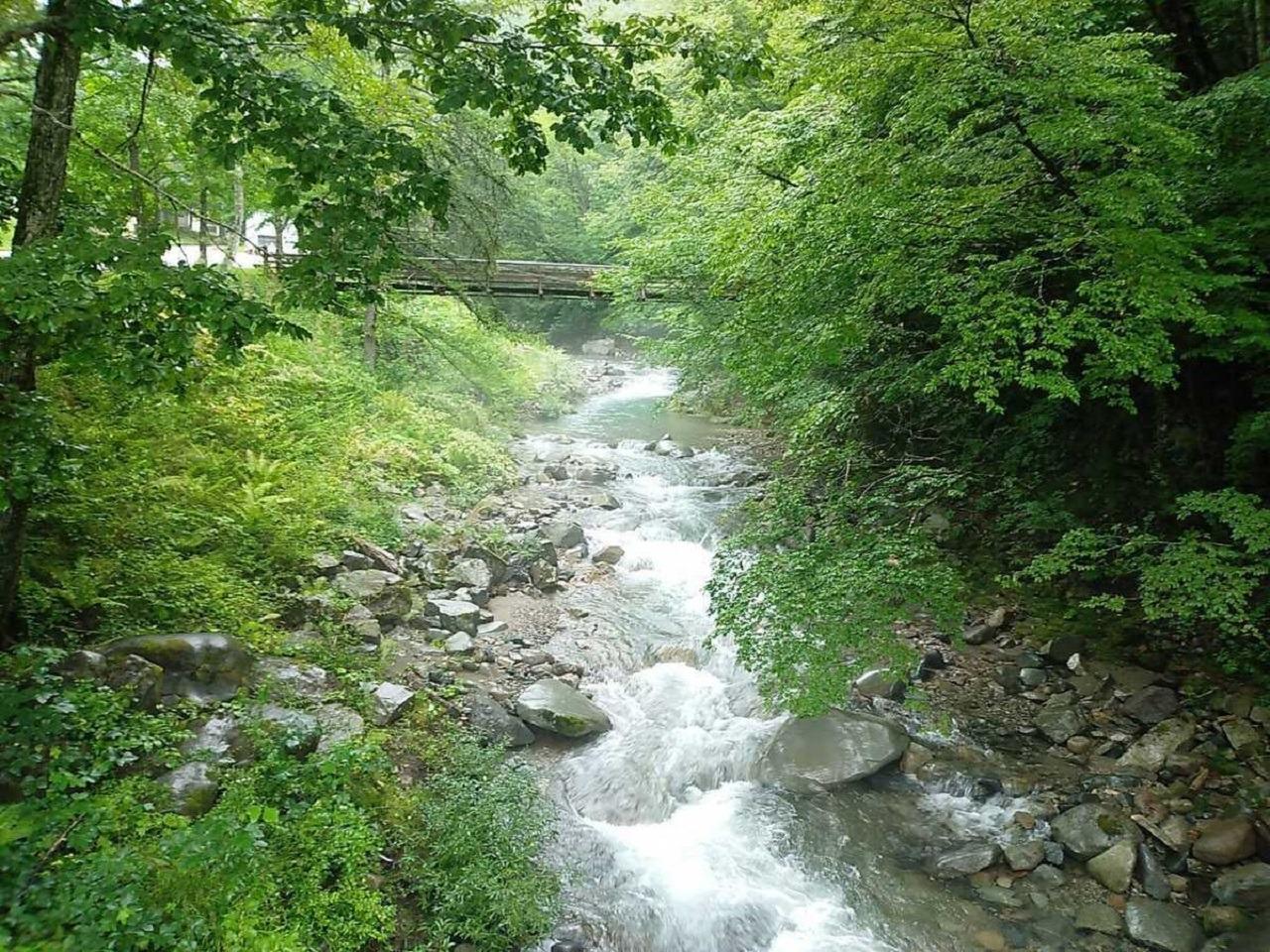 清流青屋川沿いにあります。