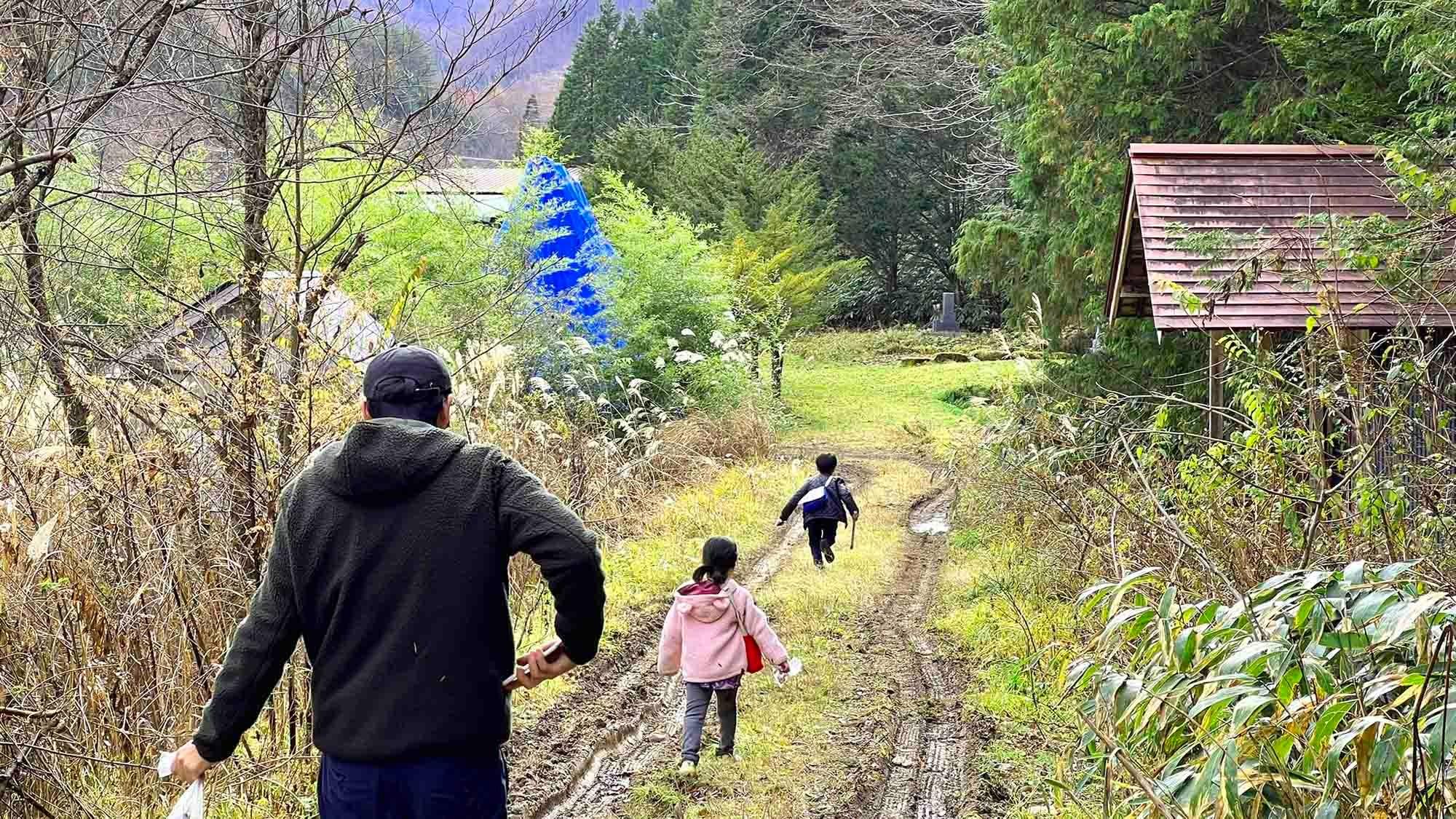 ・【遊歩道】森に入ると心が癒され、大自然を全身で感じられます