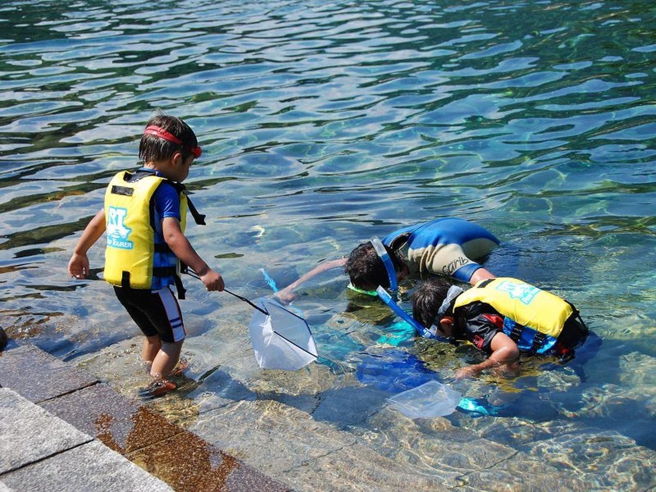 キャンプinn海山で川遊び