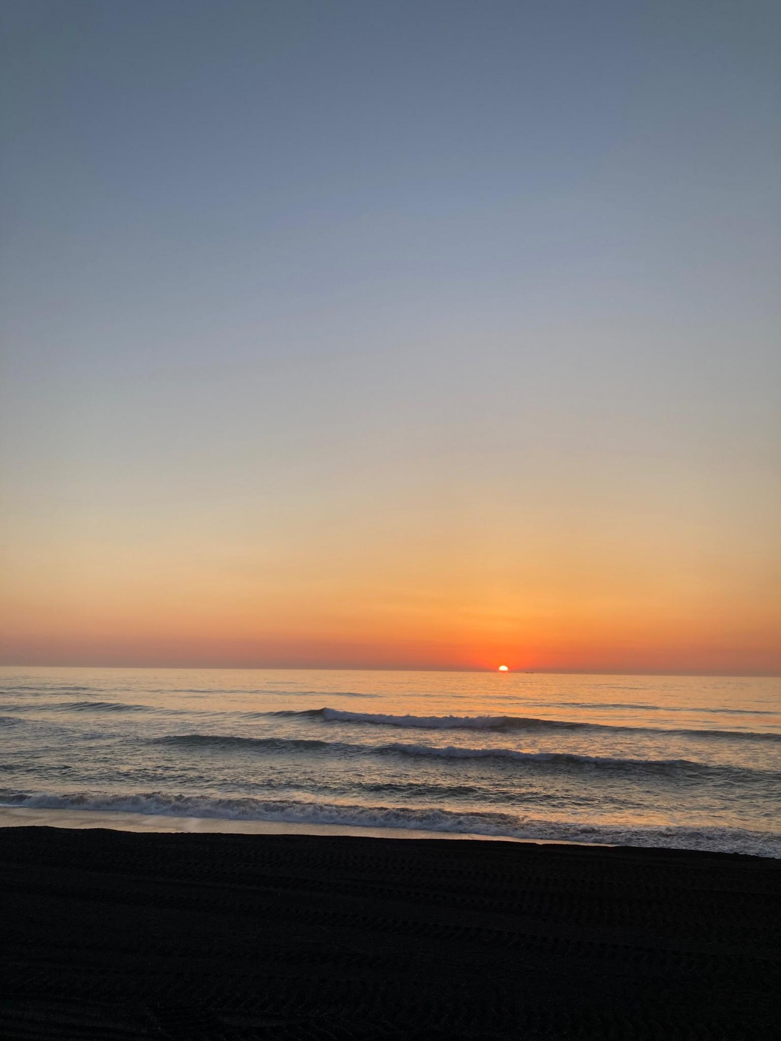 海から上がる朝日は最高です