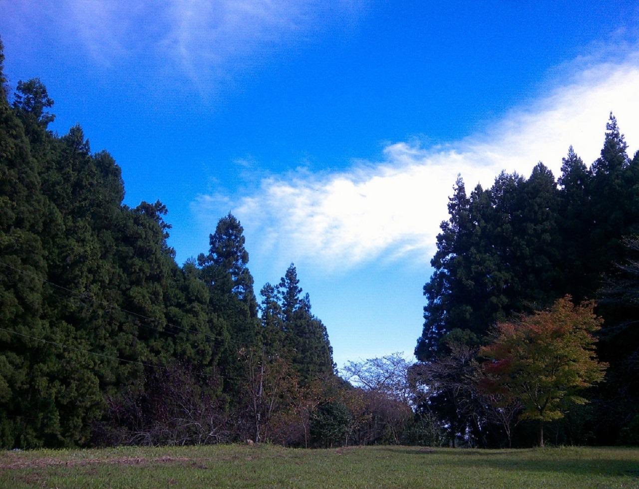 サイト内から見る空の景色です。