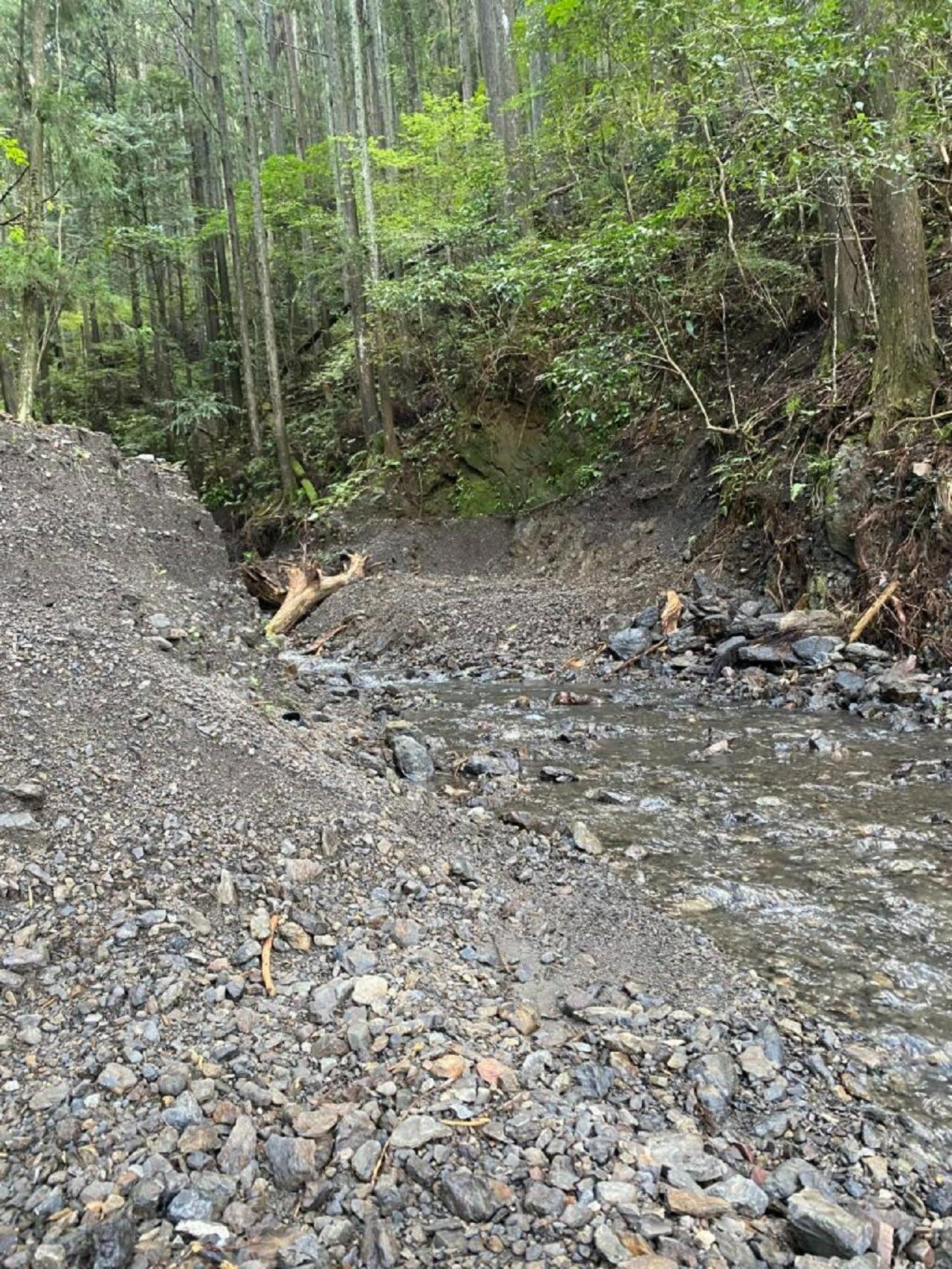 すがり川に注ぎ込む沢