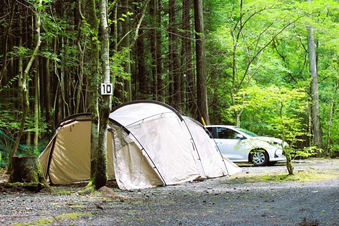 広々オートキャンプサイトの例：10-11サイト