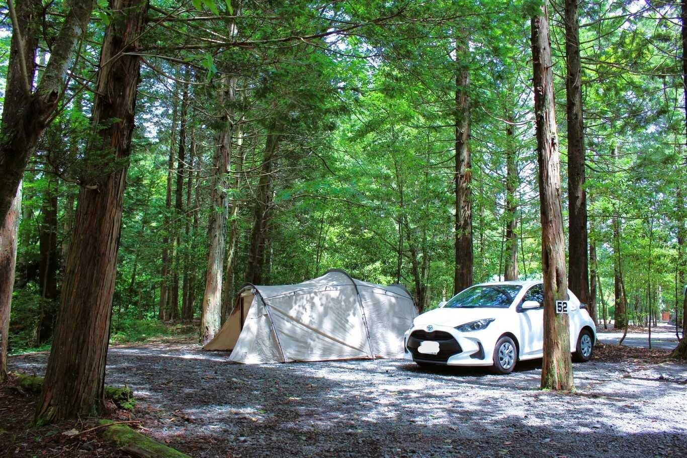 少しゆったり森林オートキャンプサイトの例：52サイト