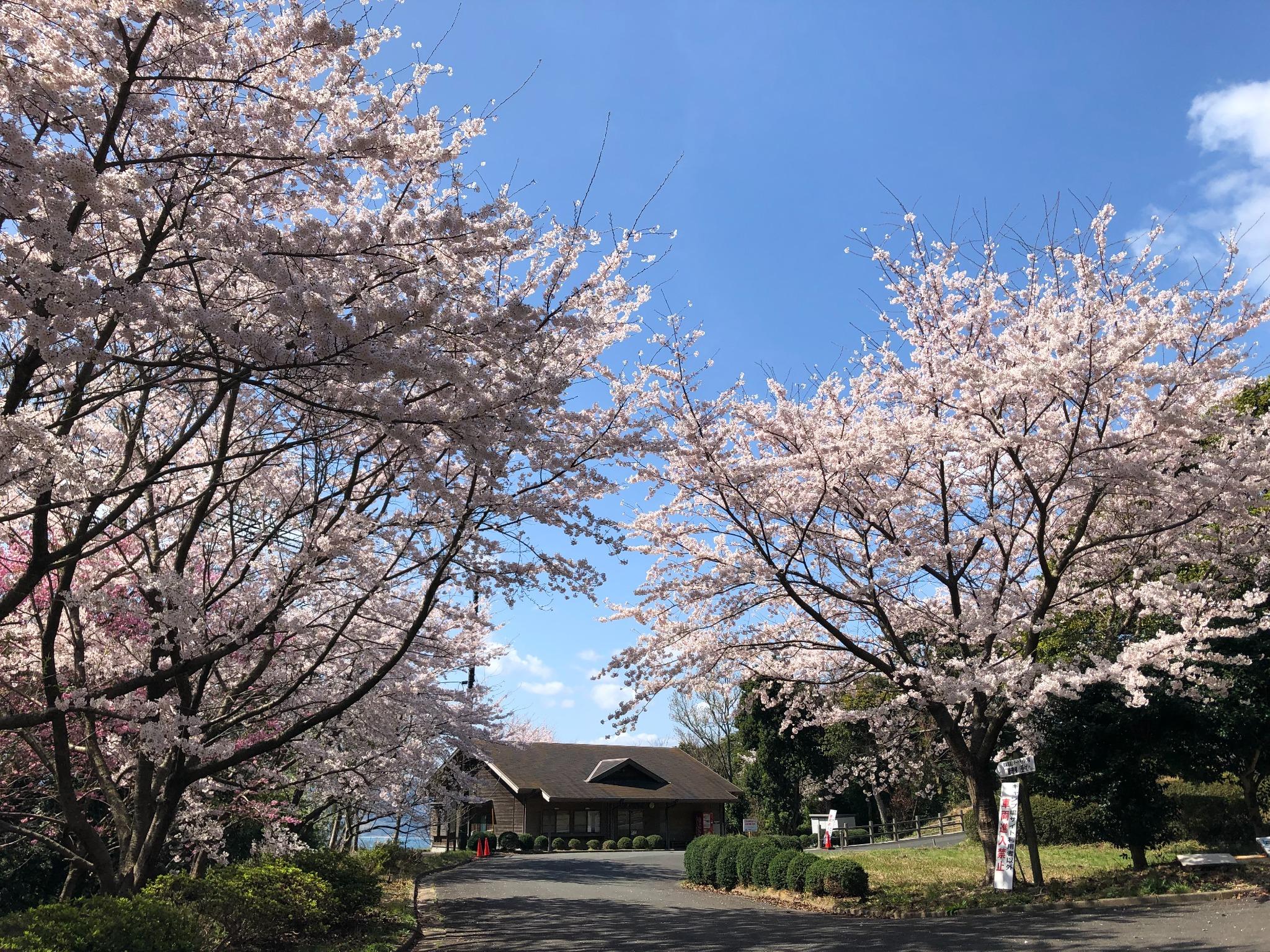 入場口：2022年4月1日現在