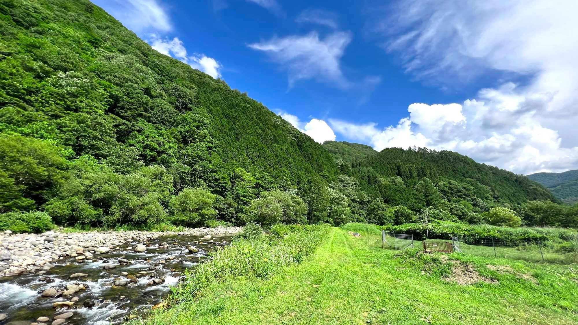 ・【秋神川】オートキャンプ場は秋神川の清流のささやきも聞こえ、自然を五感で感じられます