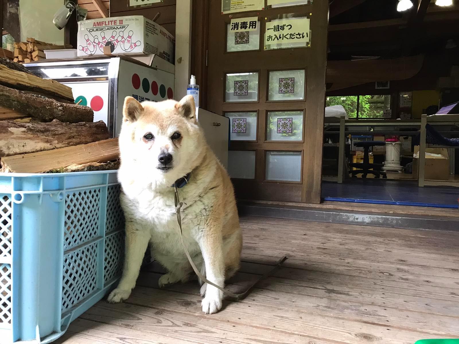 ララちゃんお出迎え