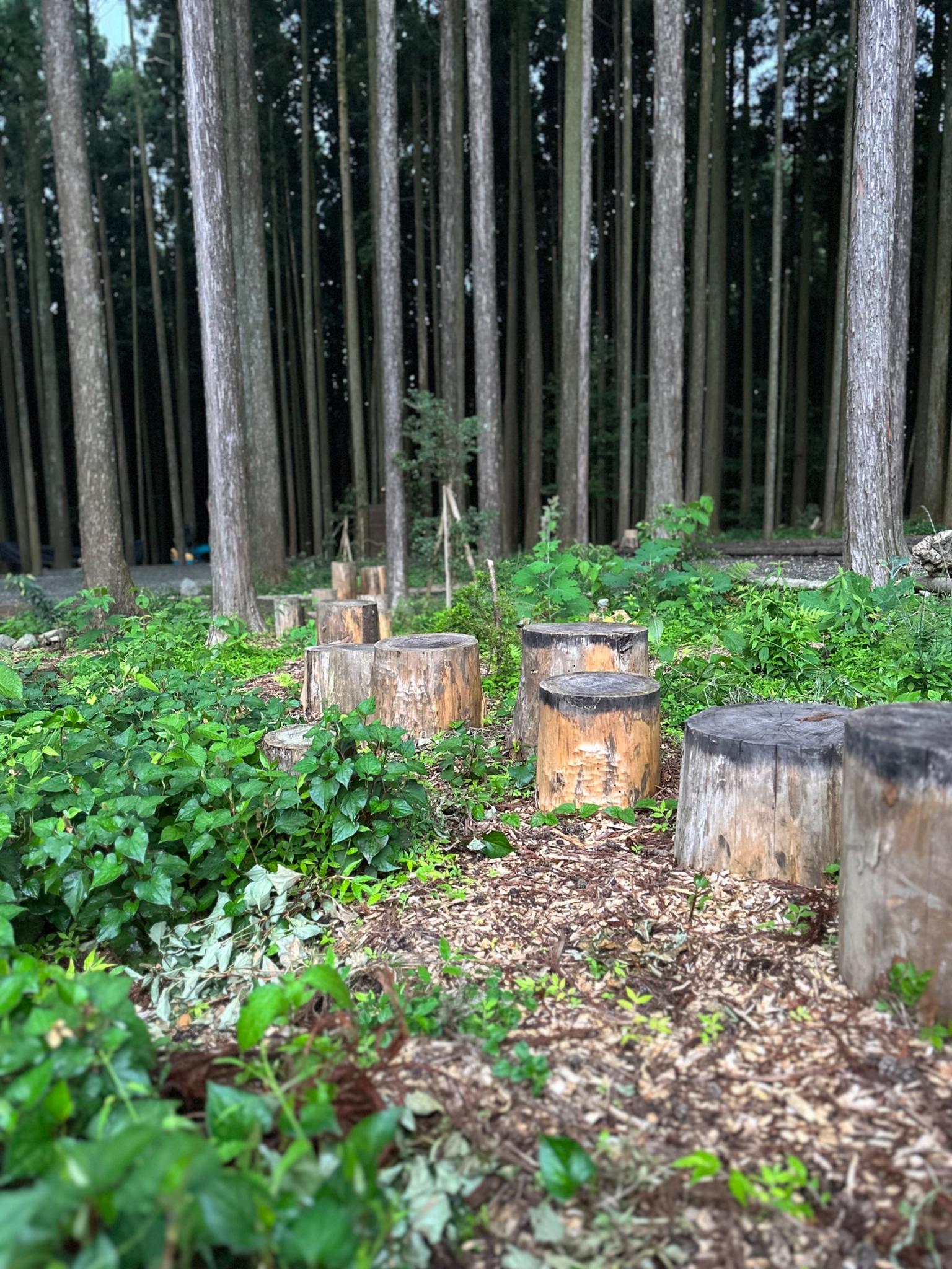 自然を生かした遊び場