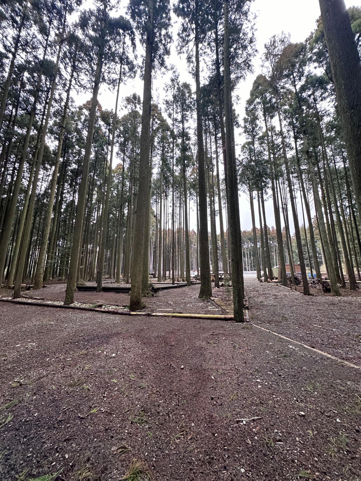 林間サイトも区画サイトです