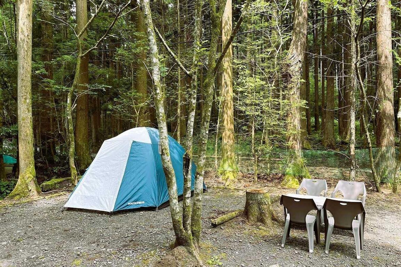 常設テントプランはオートサイトになります。