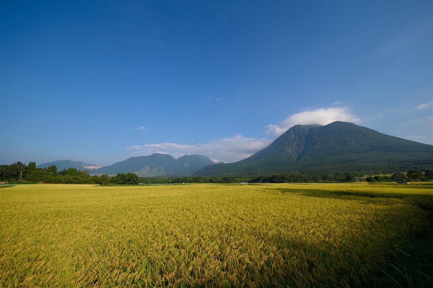 風景