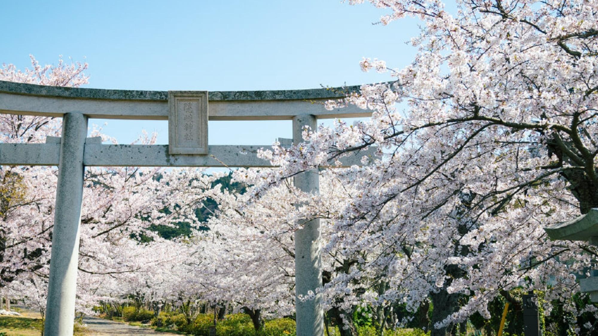 【周辺観光】隠岐神社