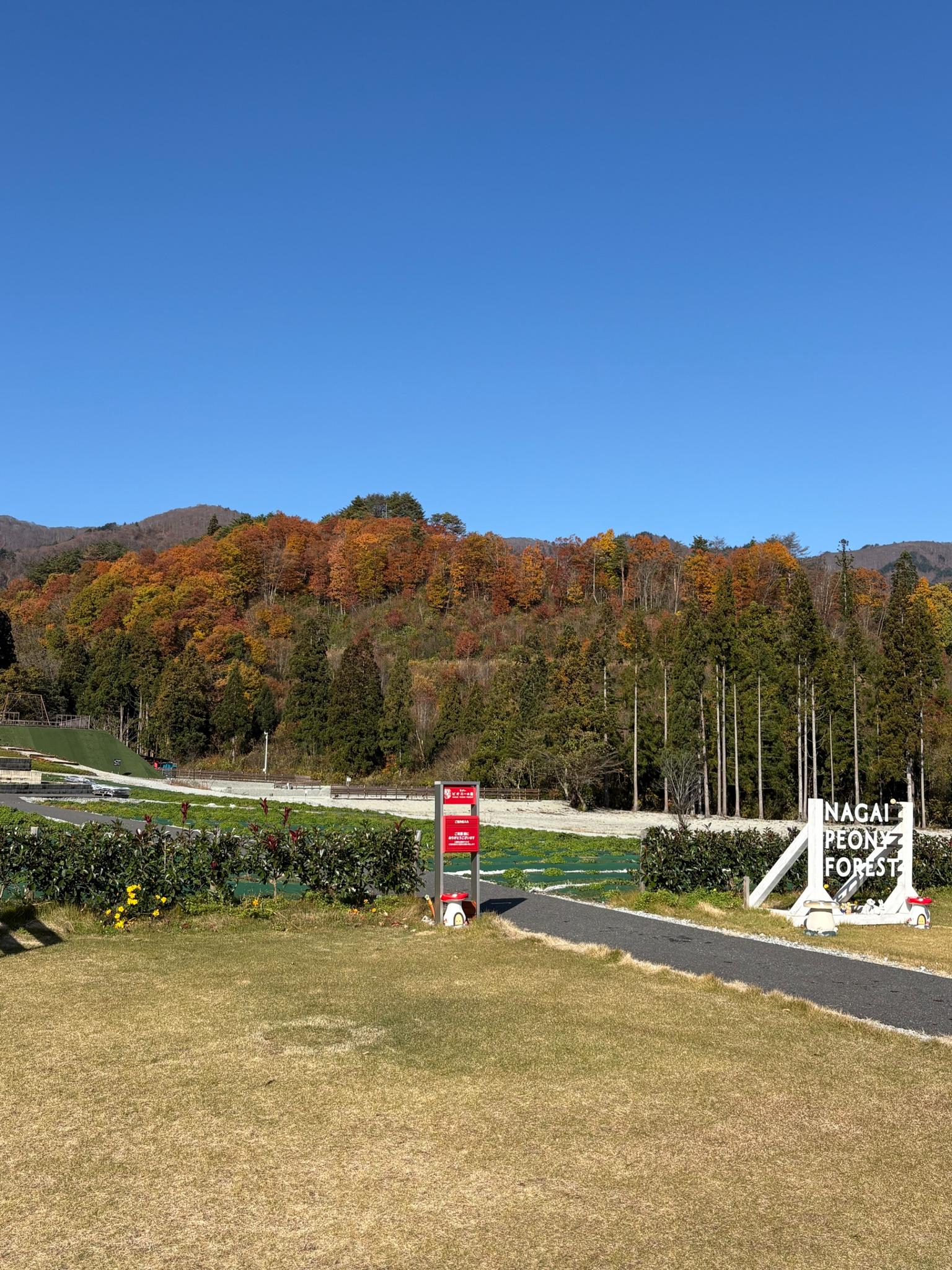 公園秋景色