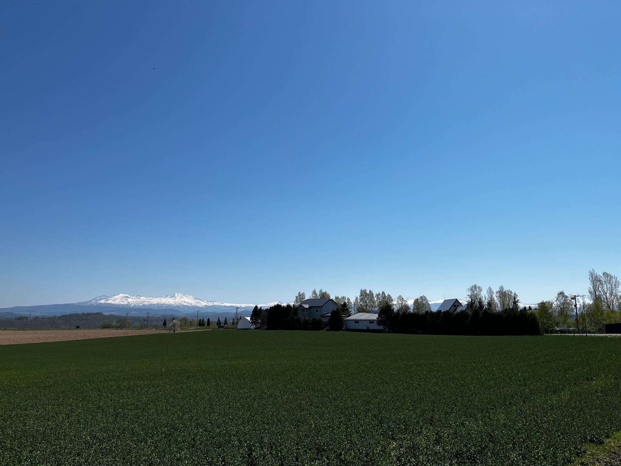 雪山と緑の風景、すぐとなりには、ケンとメリーの木や、北西の丘で素敵な風景を眺めることができます！