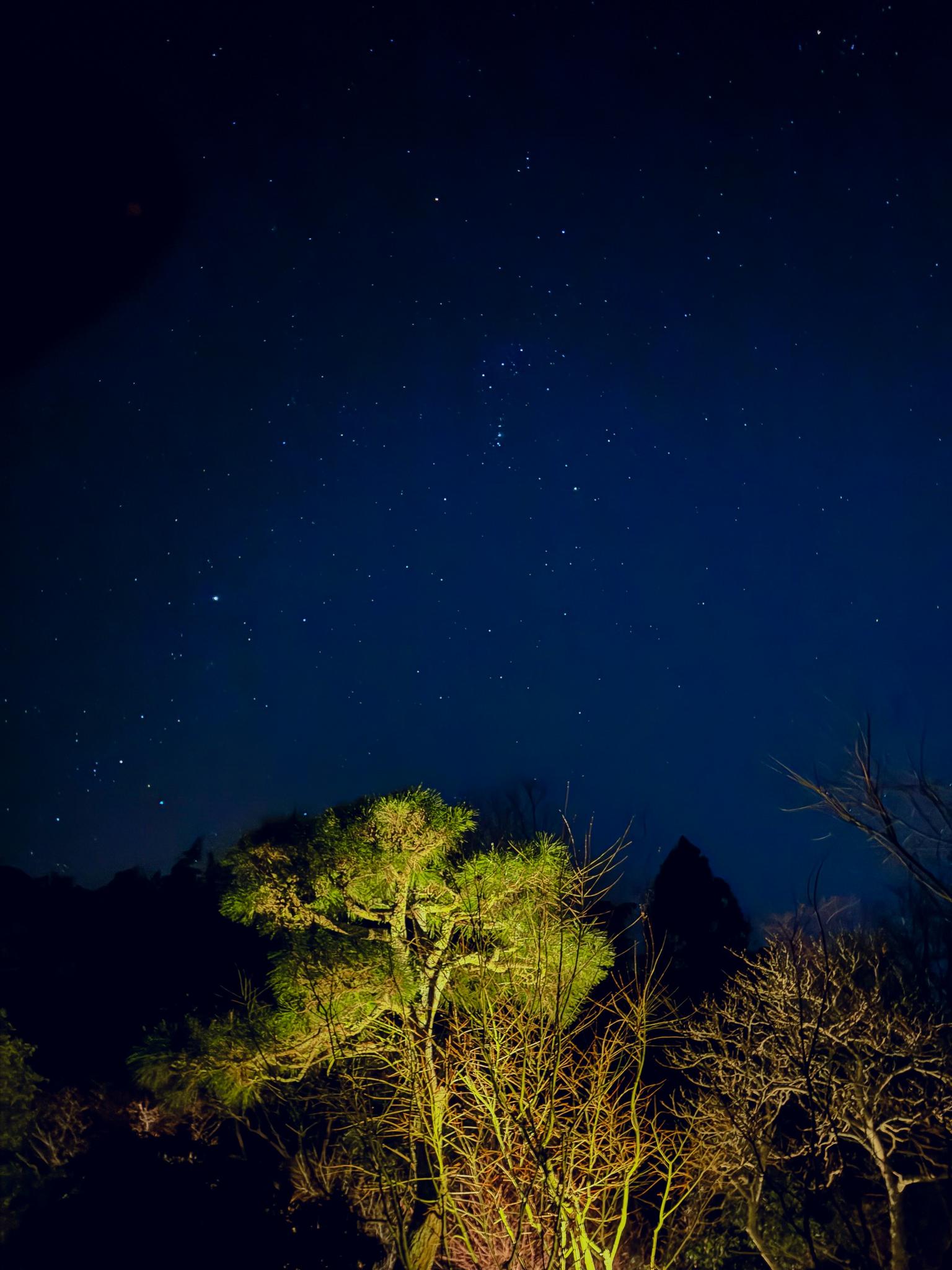 山間部の為星空も綺麗に眺めることができます。