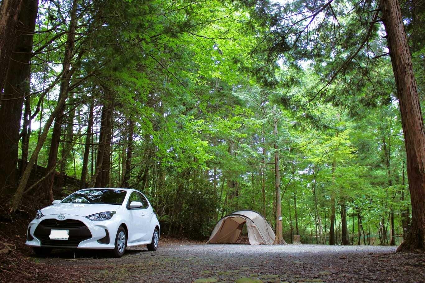 少しゆったり森林オートキャンプサイトの例：62サイト