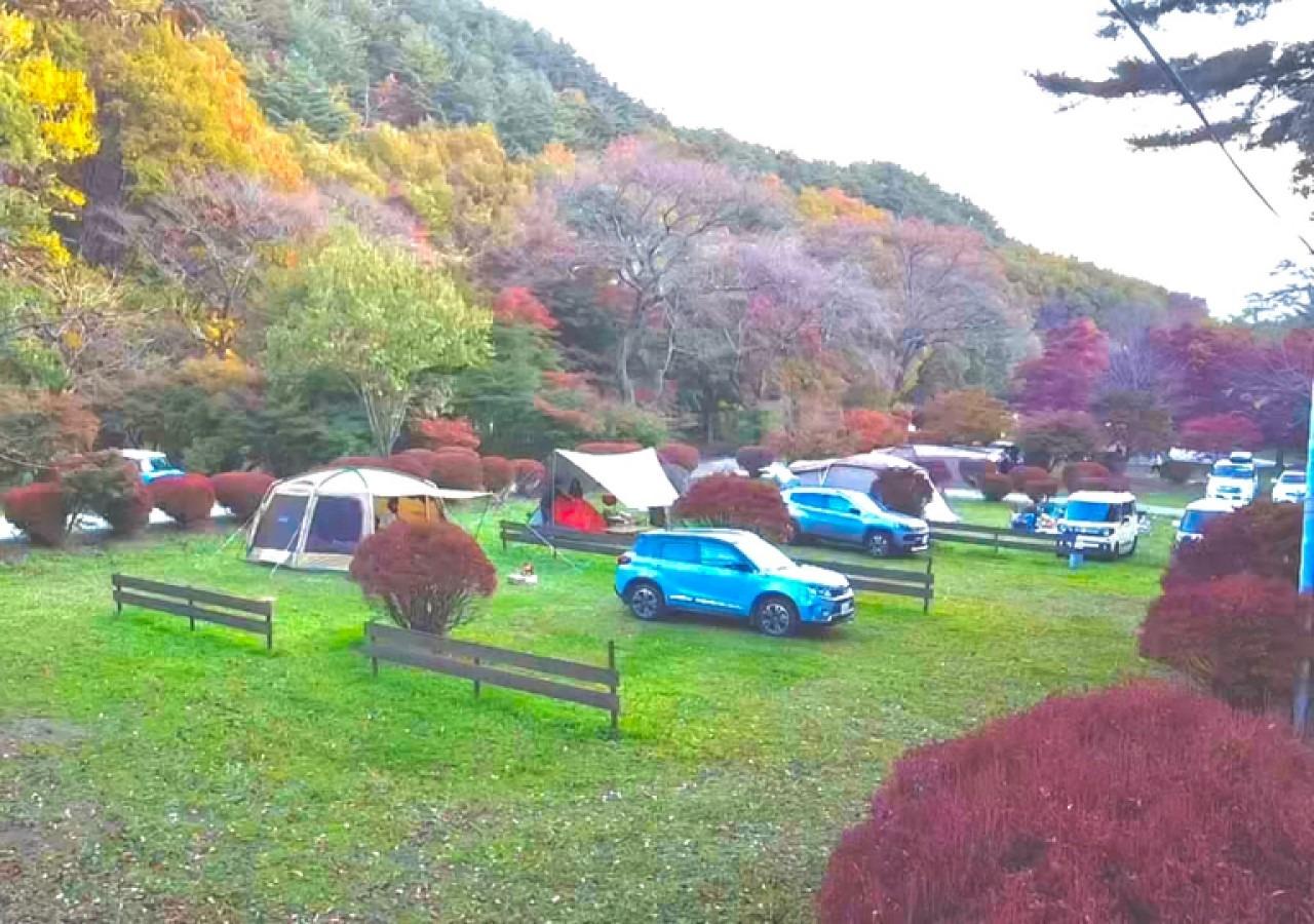 利用風景（区画サイト）