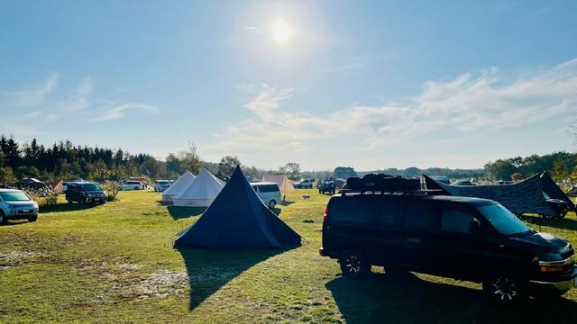 FOREVER CAMPING PARADISEのサイト風景