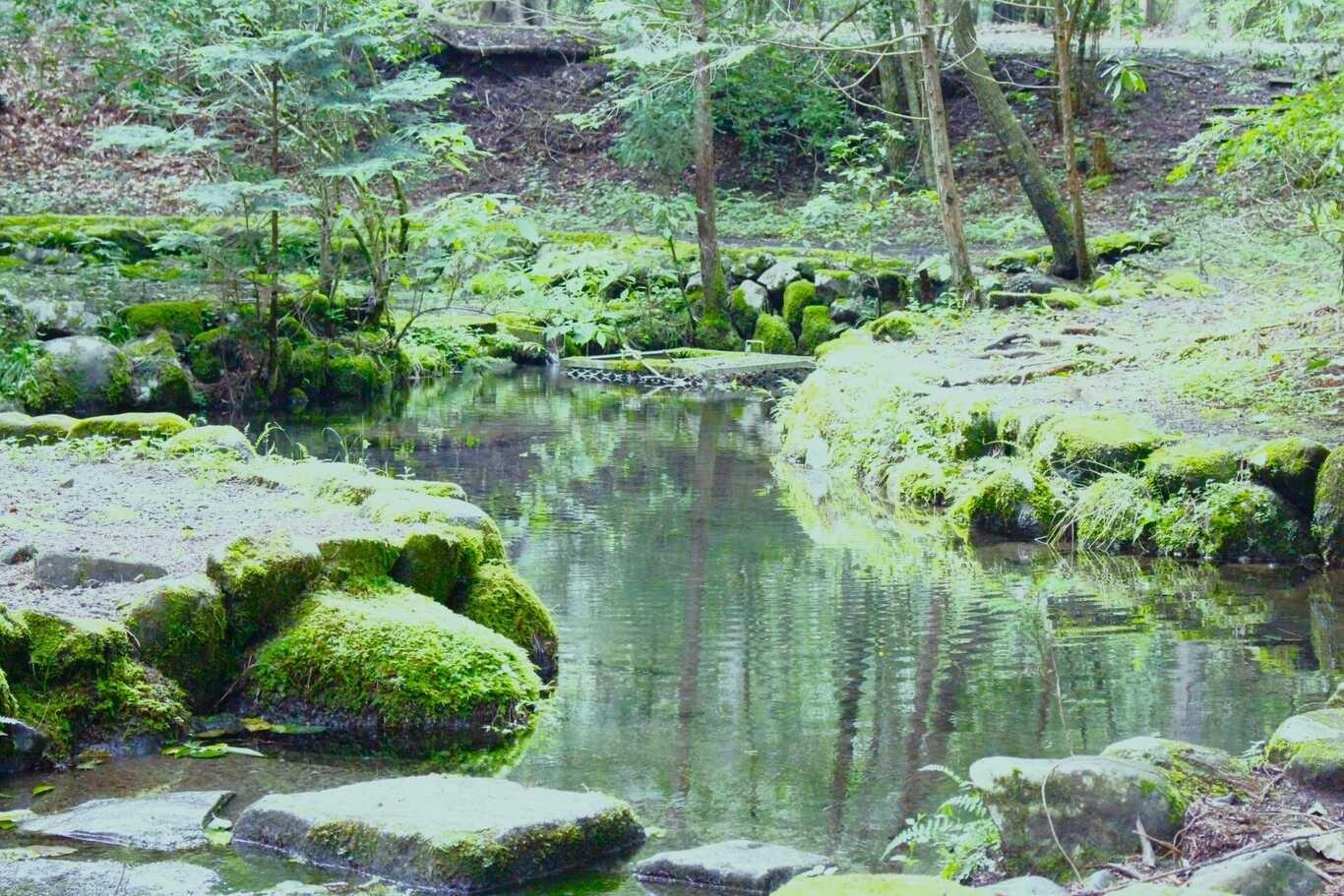 釣り堀池もございます。