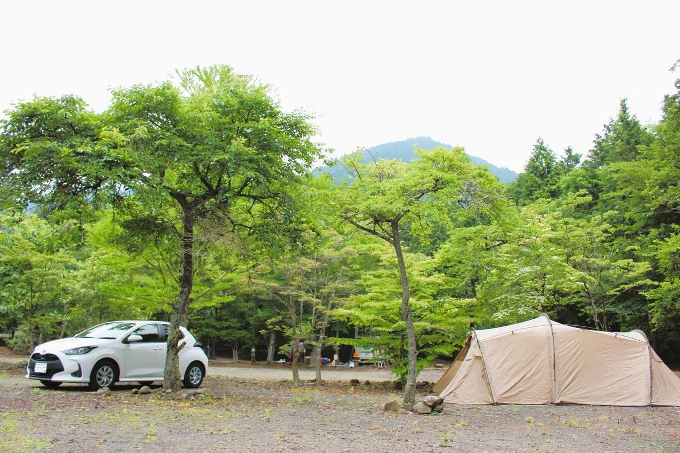 広々AC付きオートキャンプサイトの例：94-95,72サイト