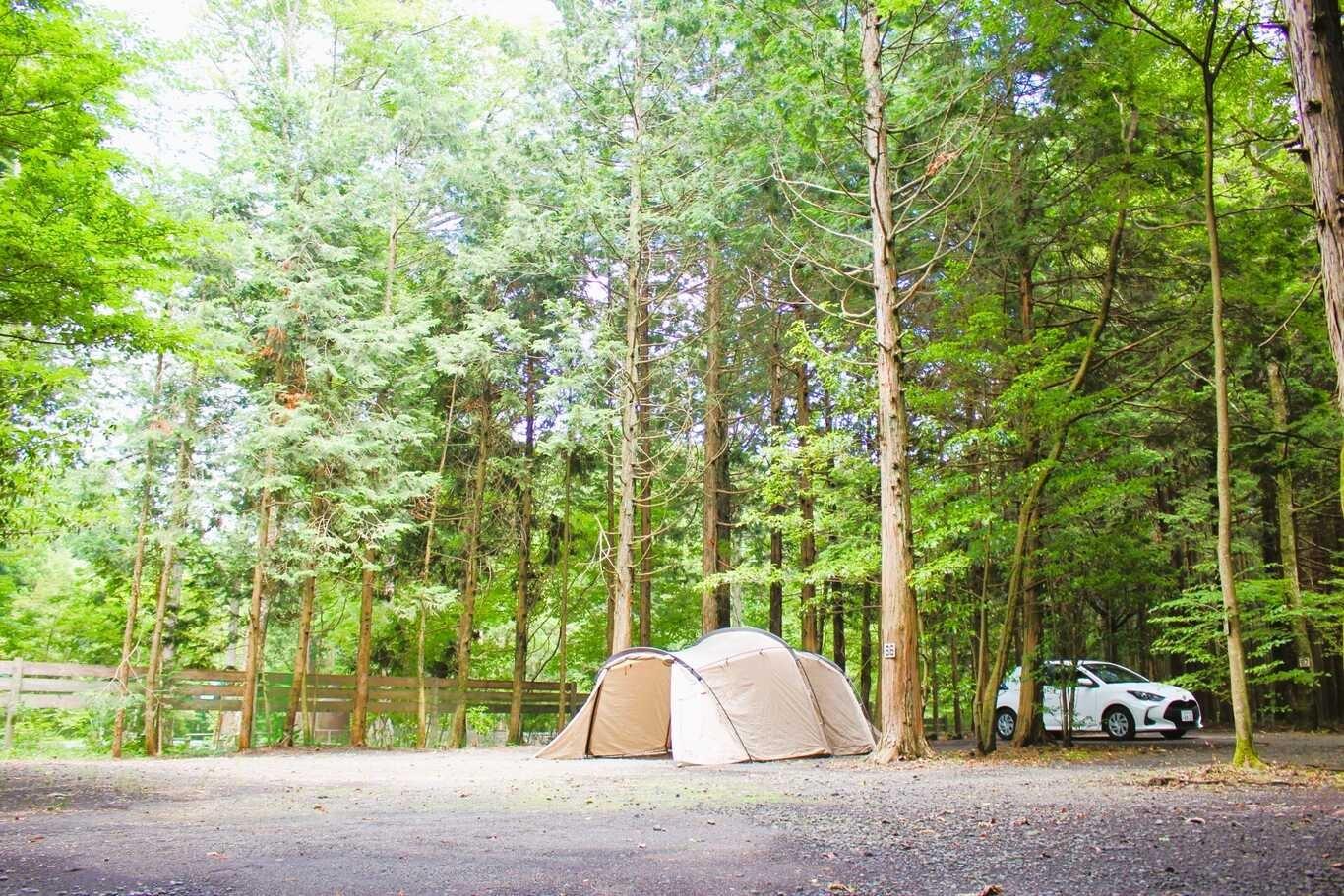 広々オートキャンプサイトの例：66-67サイト