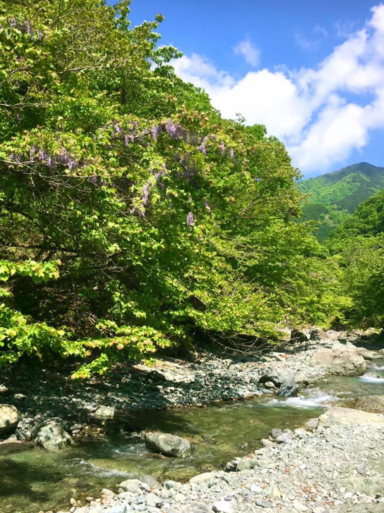 中津川の清流