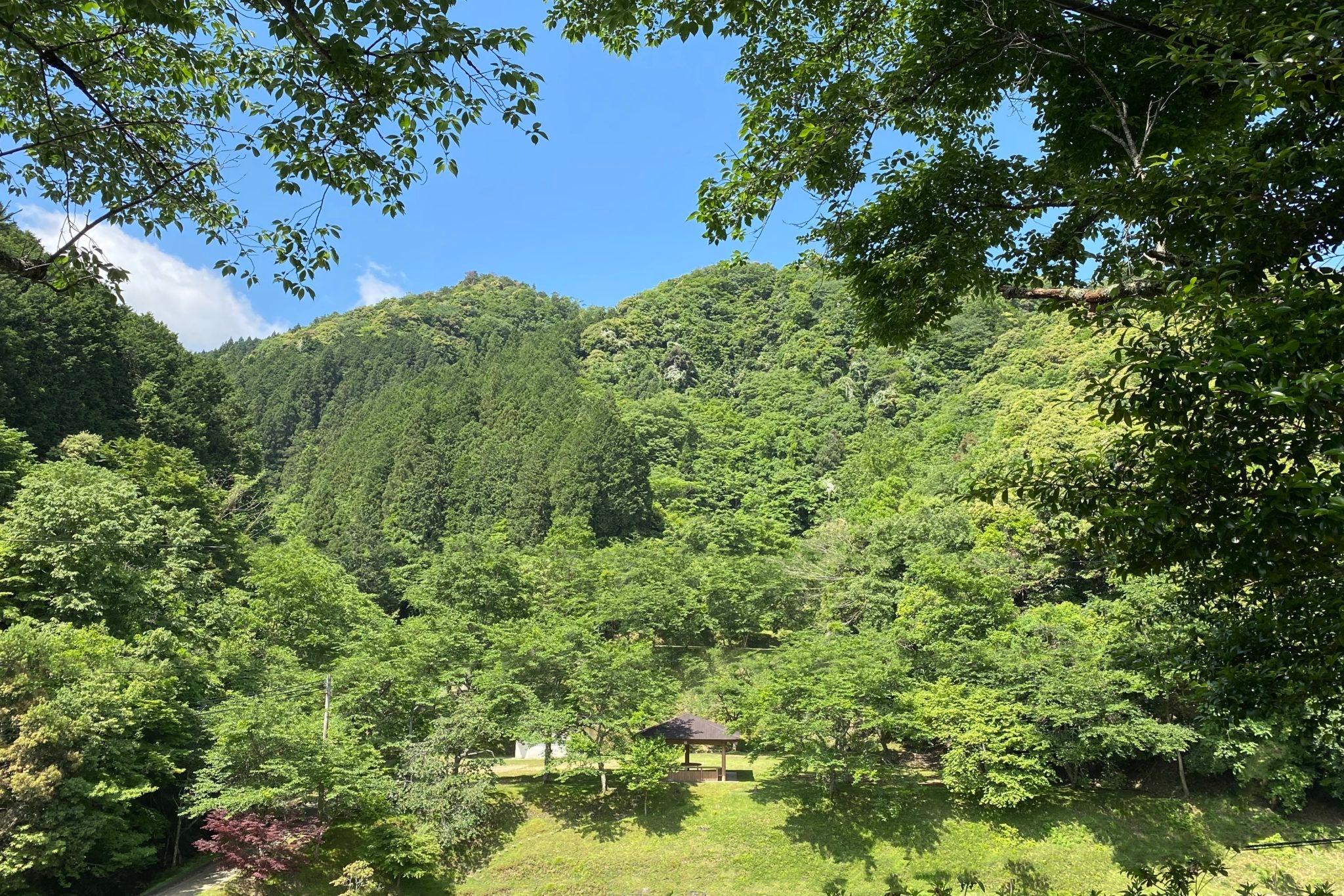 森に囲まれたキャンプ場