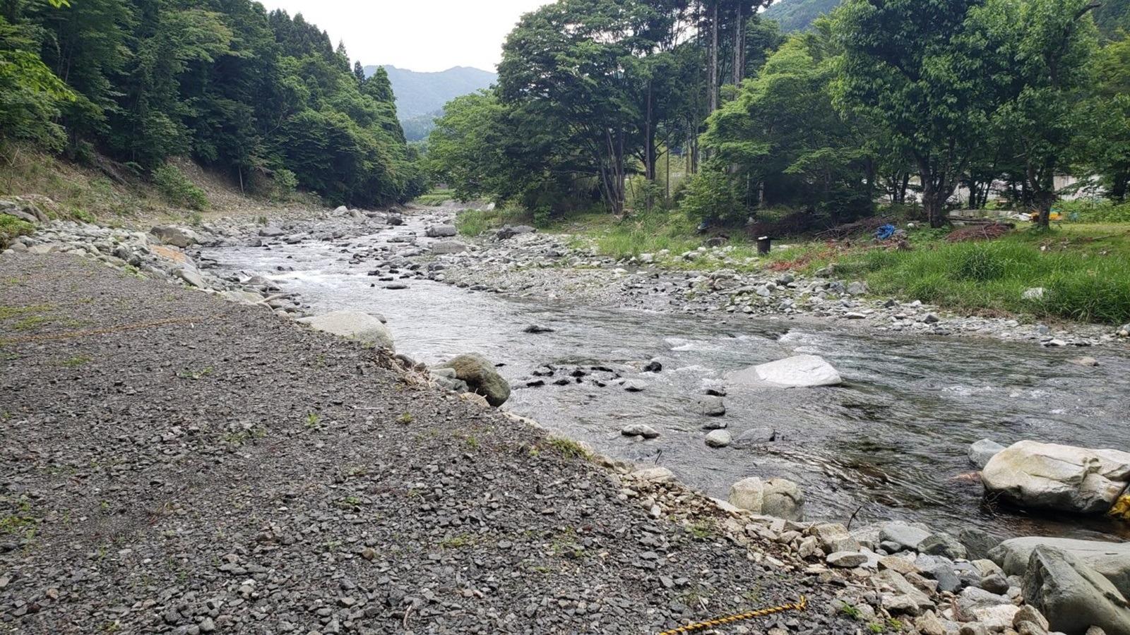 上流部分の景観です