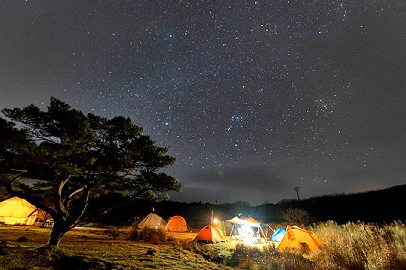 峰山高原リゾート 星降る高原キャンプ場