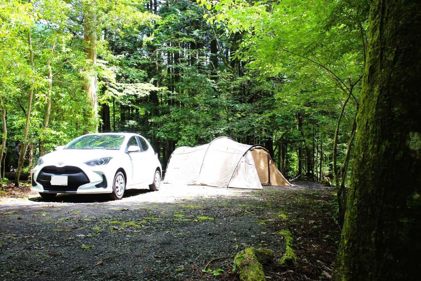 少しゆったり森林オートキャンプサイトの例：36-1サイト