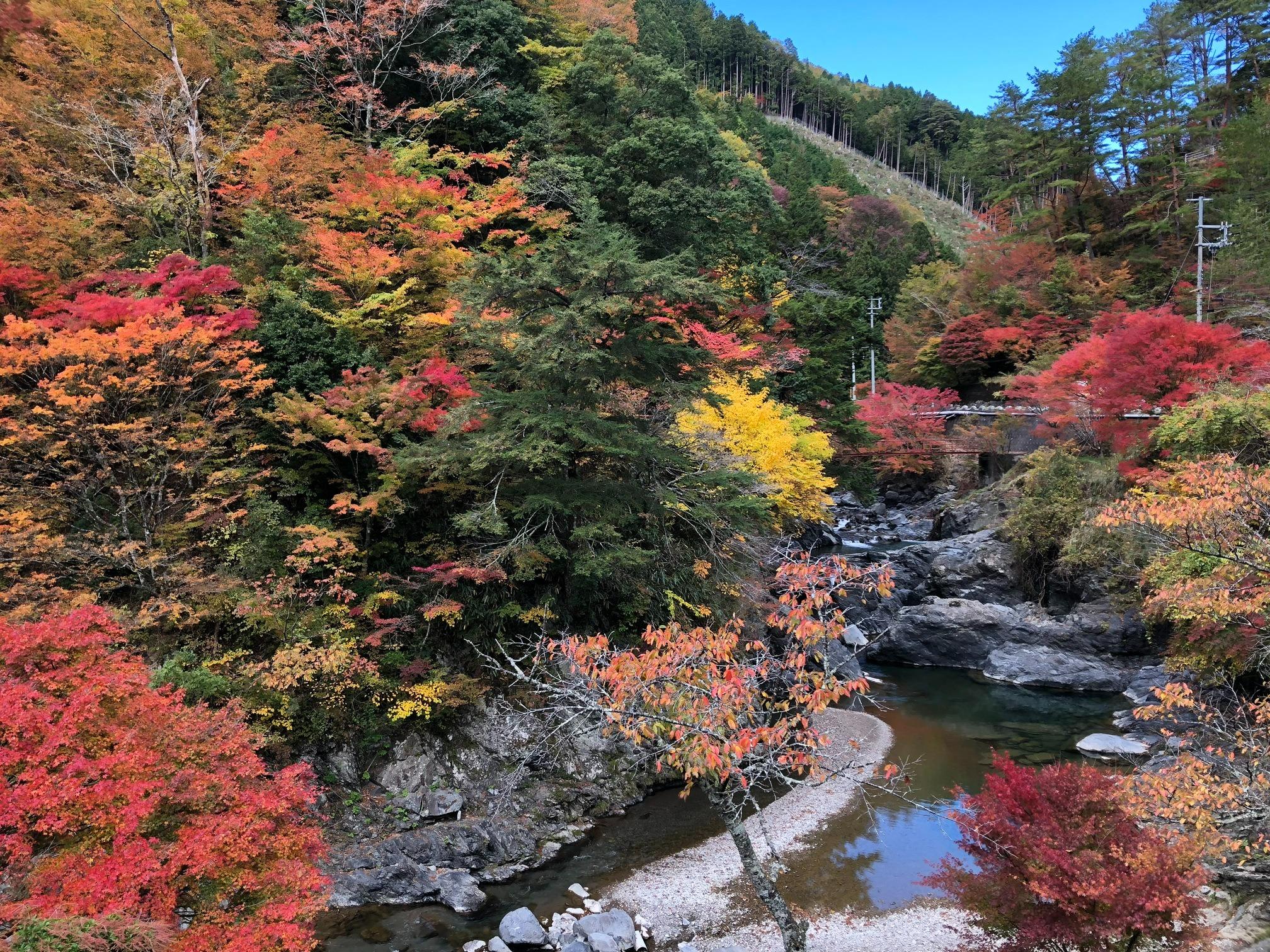 秋の紅葉は絶賛！