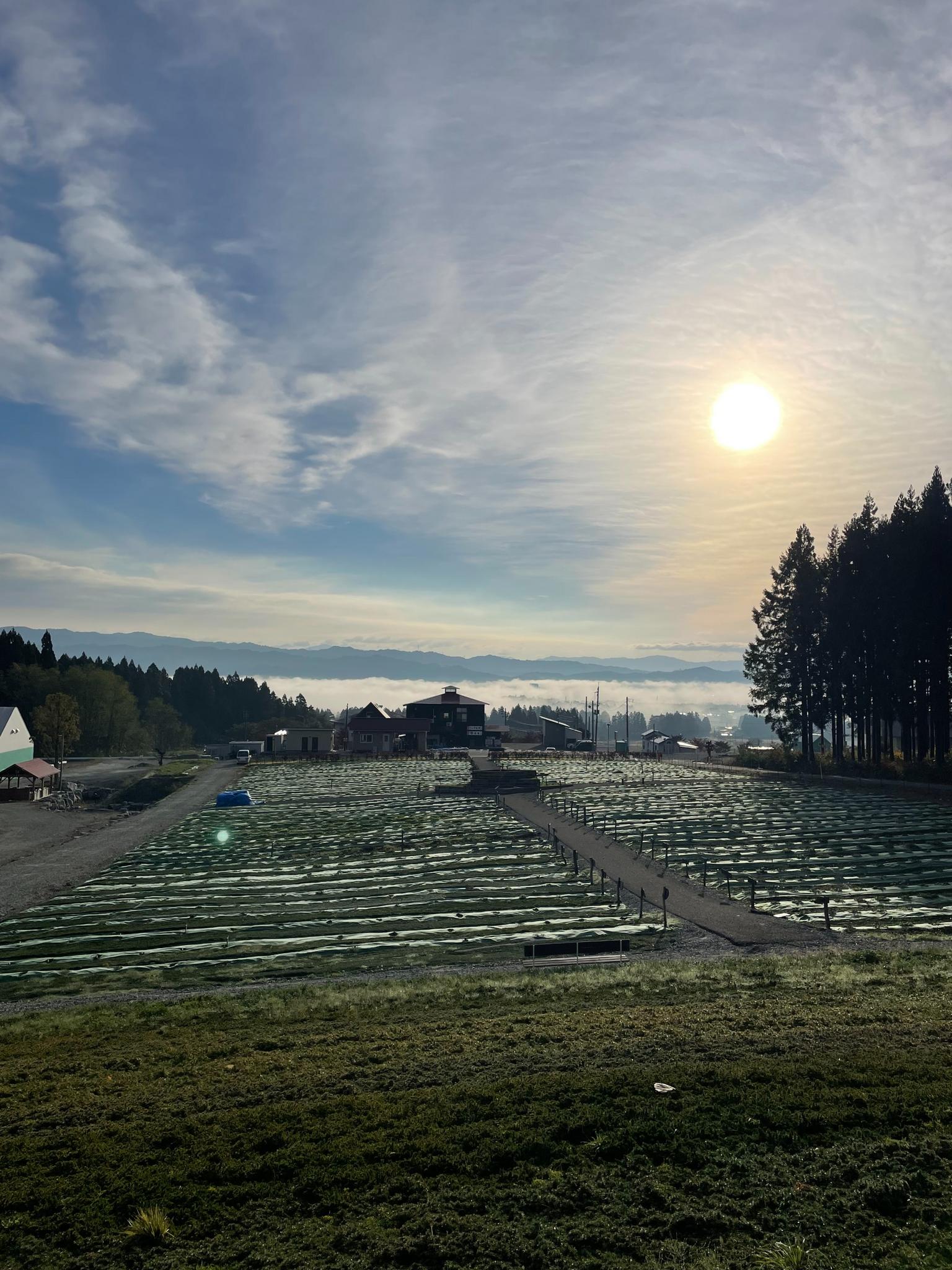 公園から見た市内の雲海